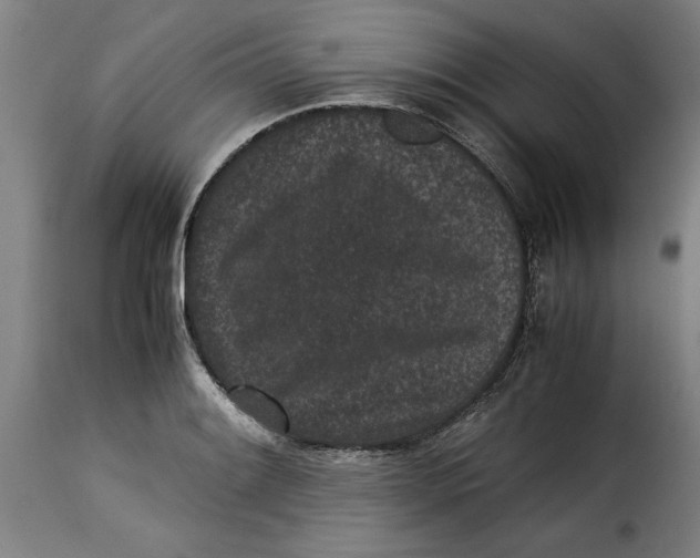 X0000115281084200911201746