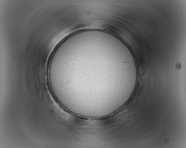 X0000115281087200911201746