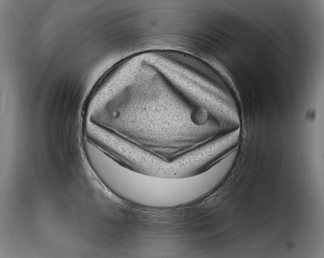 X0000115281096200911201746