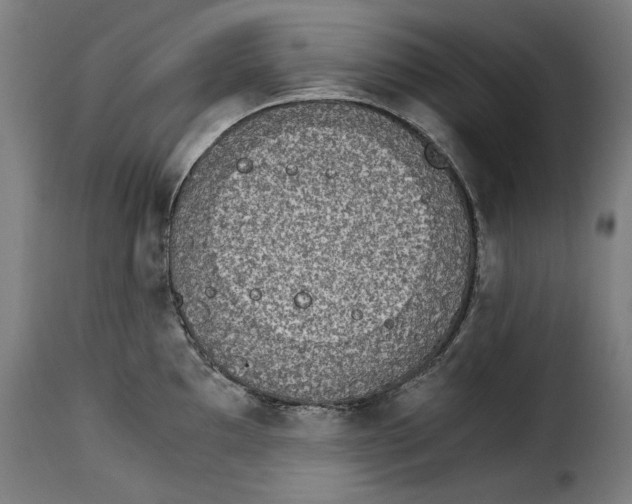 X0000115281097200911201746