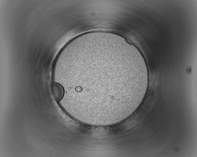 X0000115281099200911201746