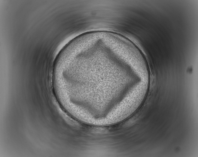 X0000115281101200911201746