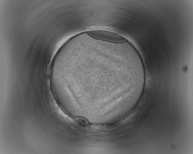 X0000115281102200911201746