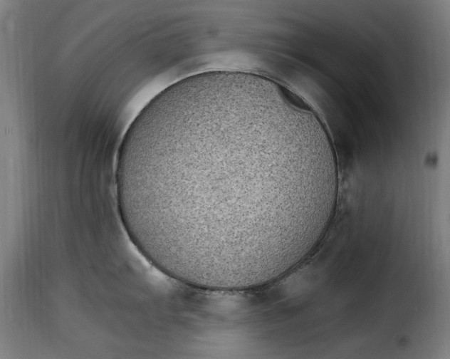 X0000115281103200911201746