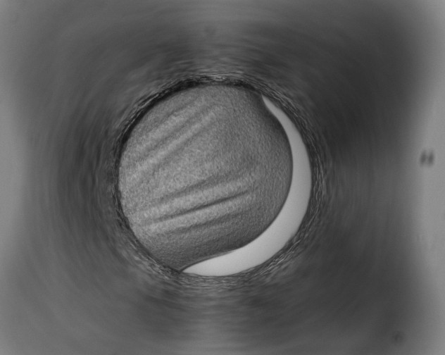 X0000115281105200911201745