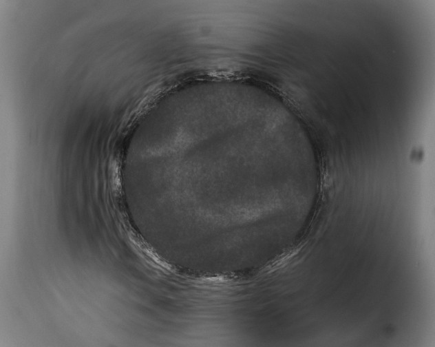 X0000115281106200911201745