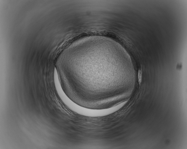 X0000115281107200911201745