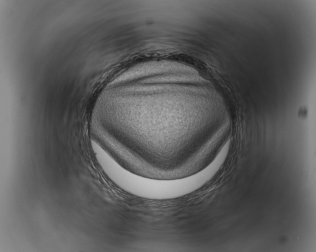 X0000115281109200911201745