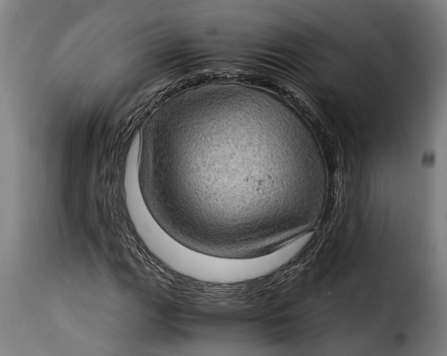 X0000115281111200911201745