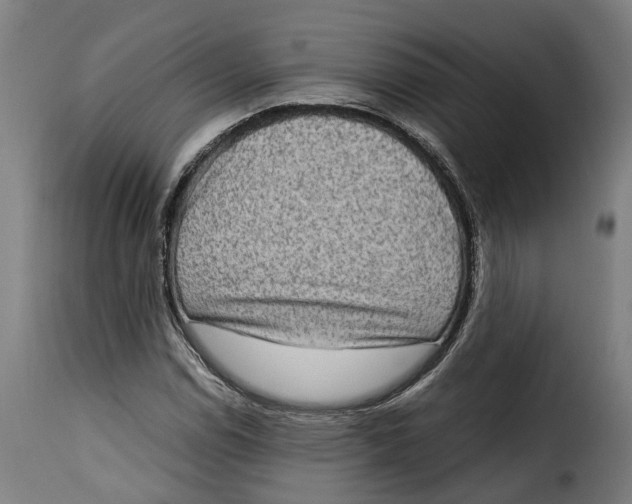 X0000115281114200911201745