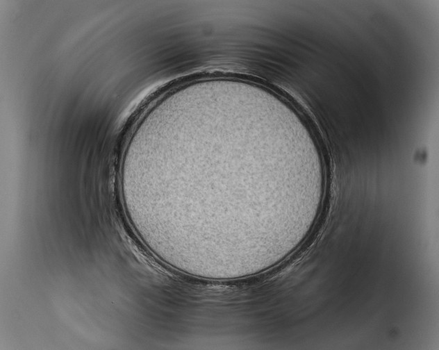 X0000115281115200911201745