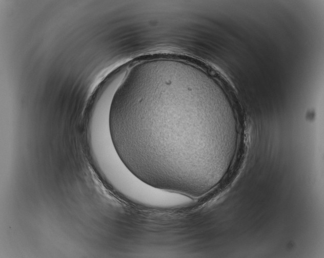 X0000115281117200911201745