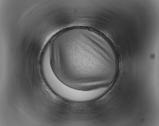 X0000115281119200911201745