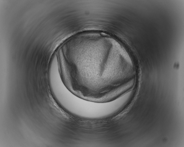 X0000115281121200911201745