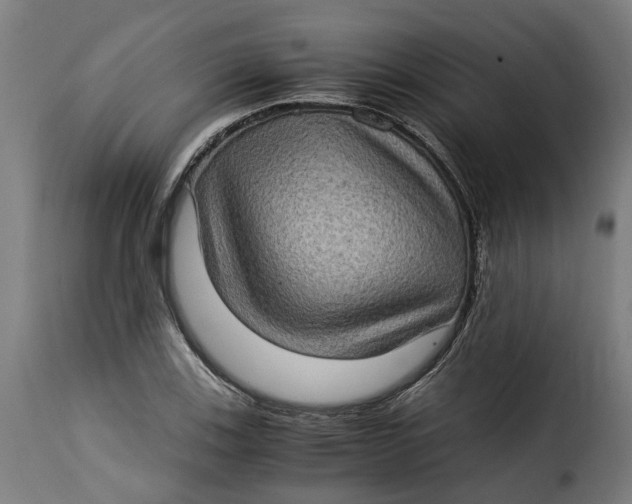 X0000115281123200911201745