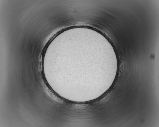 X0000115281126200911201745