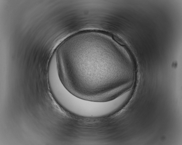 X0000115281129200911201745