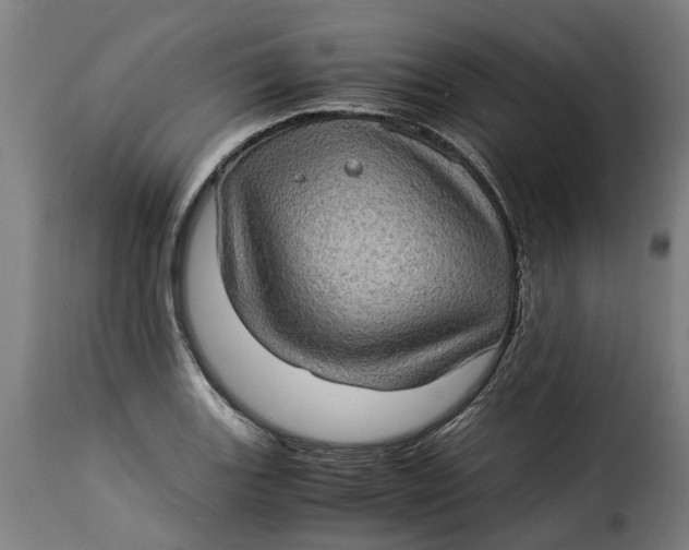 X0000115281131200911201745