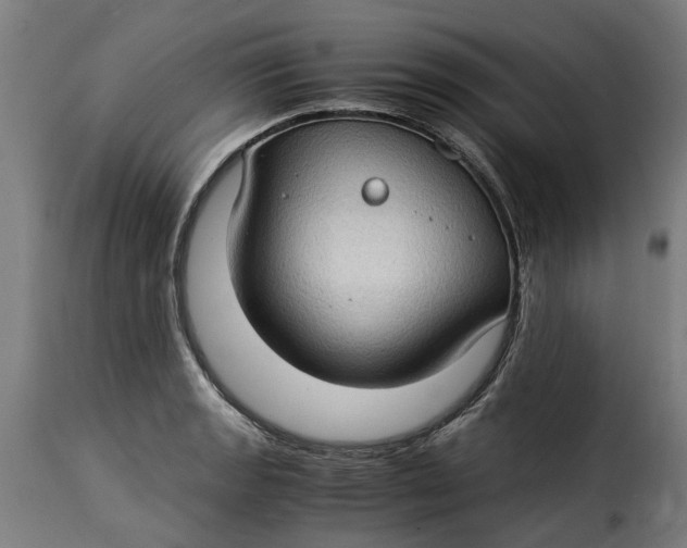 X0000115281133200911201745