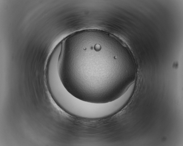 X0000115281135200911201745