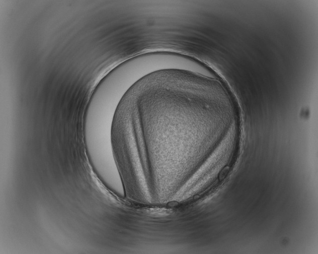 X0000115281137200911201746