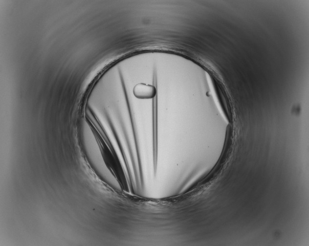 X0000115281138200911201746