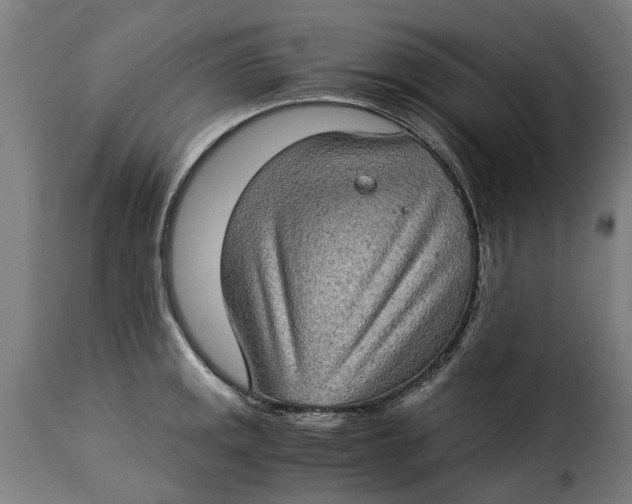 X0000115281141200911201746