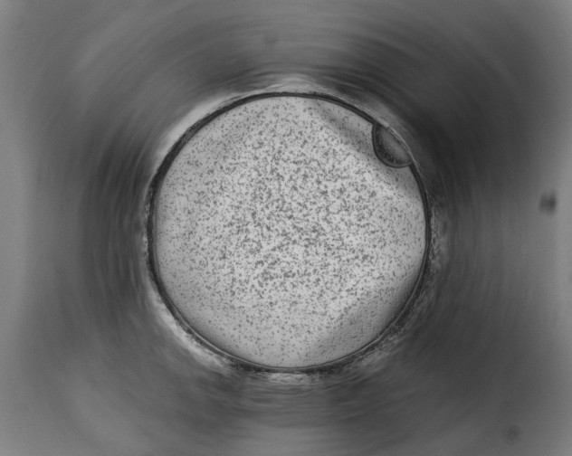 X0000115281142200911201746