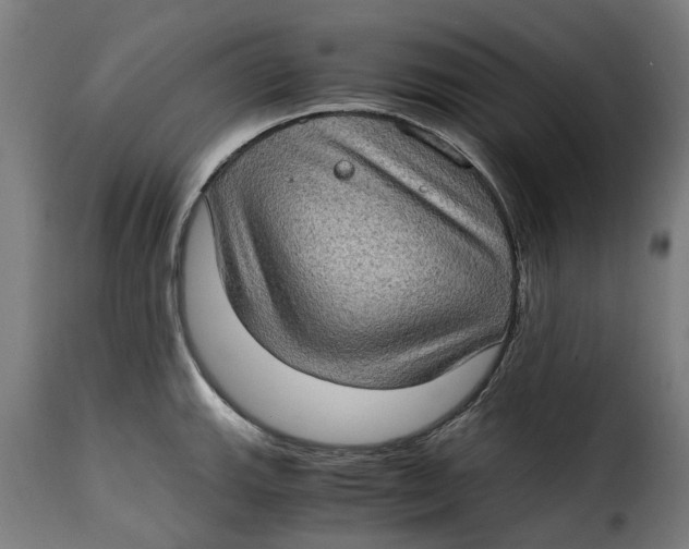 X0000115281143200911201746