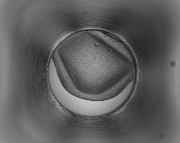 X0000115281145200911201746