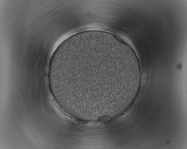 X0000115281146200911201746