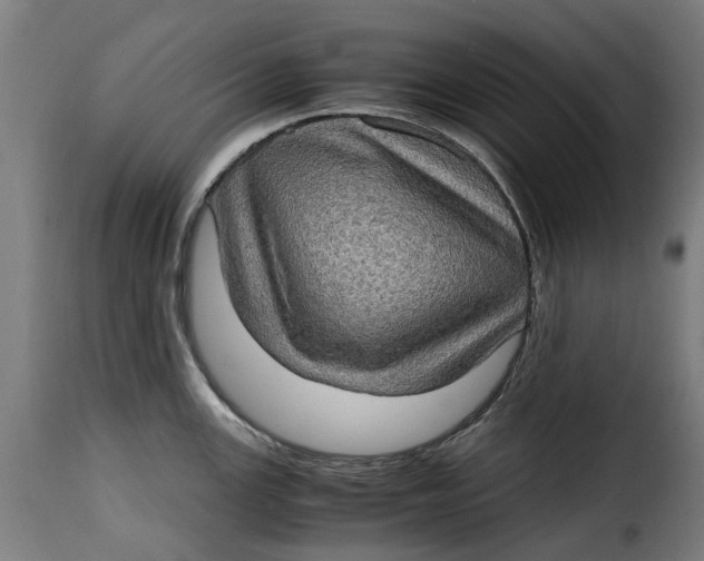 X0000115281147200911201746