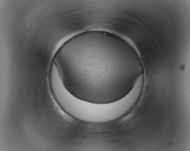 X0000115281149200911201746