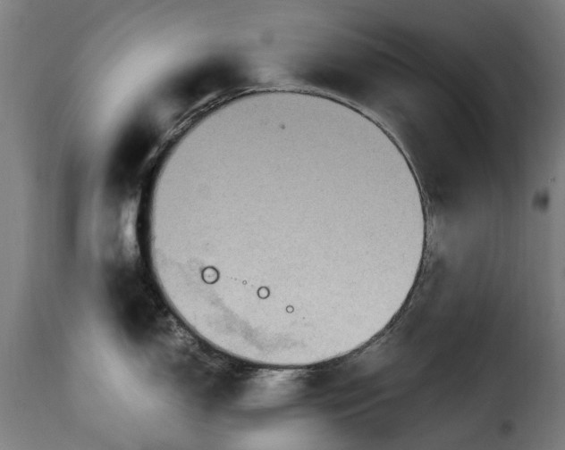 X0000115281150200911201746