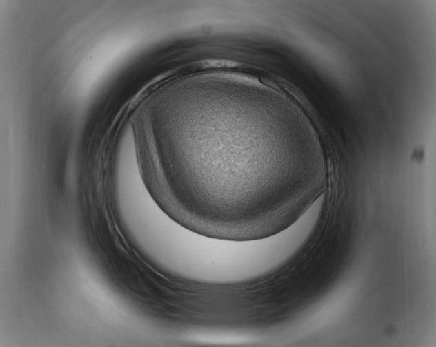 X0000115281151200911201746