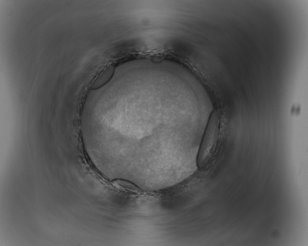 X0000115281153200911201745