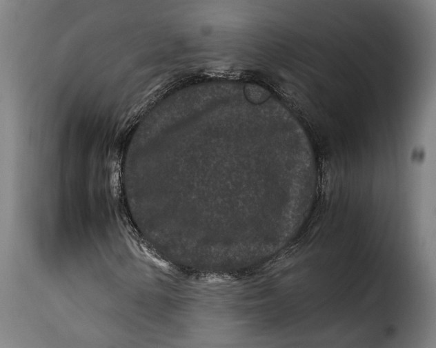 X0000115281154200911201745