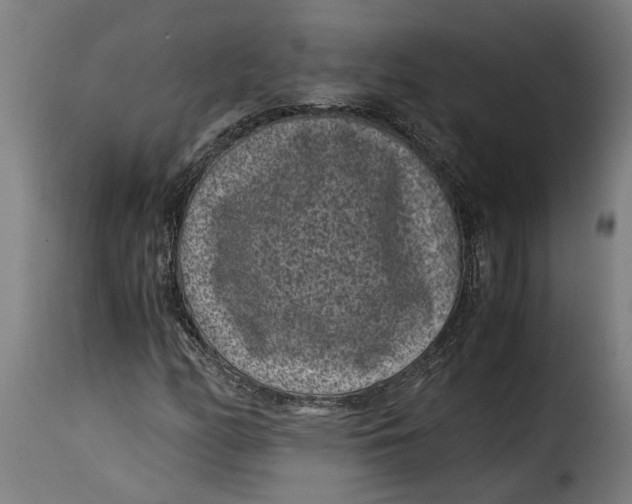 X0000115281158200911201745