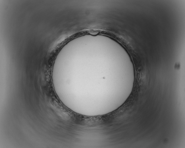 X0000115281159200911201745