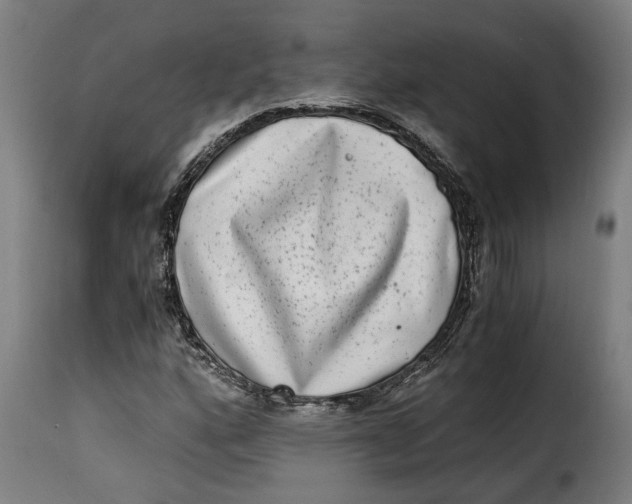 X0000115281160200911201745