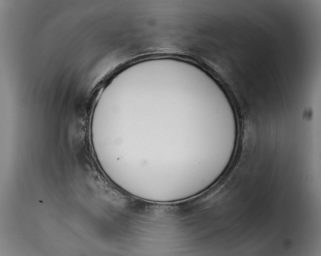 X0000115281163200911201745