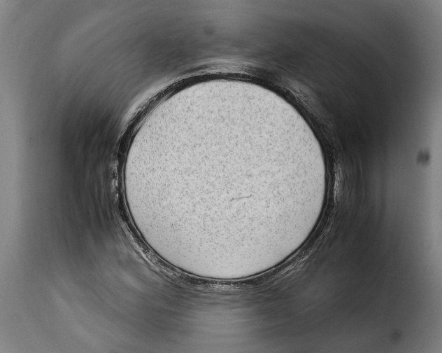 X0000115281164200911201745