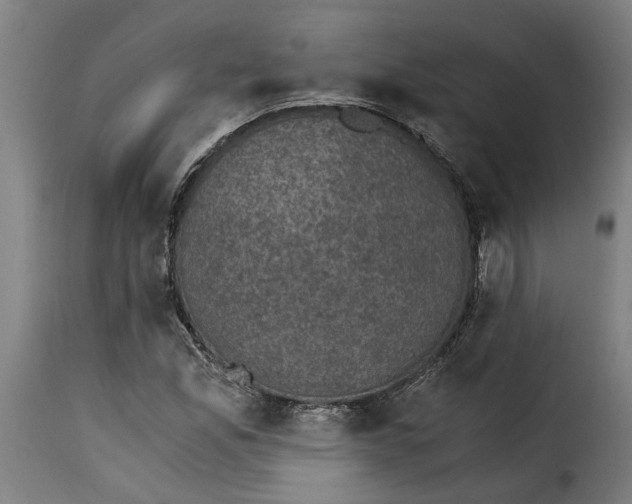 X0000115281165200911201745