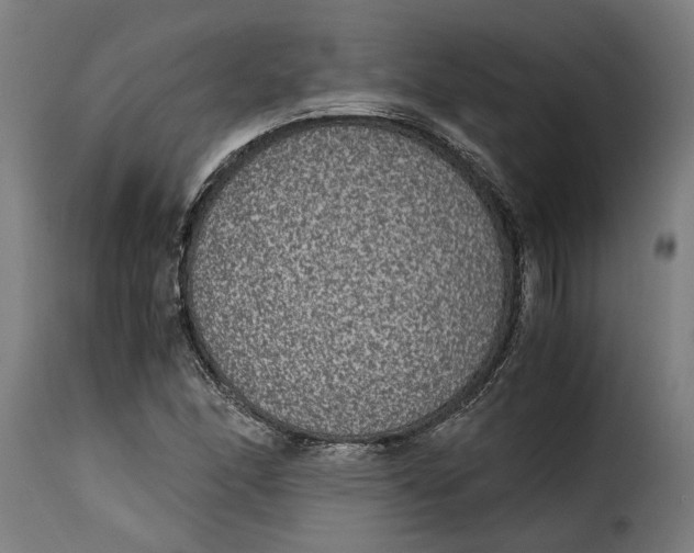 X0000115281166200911201745