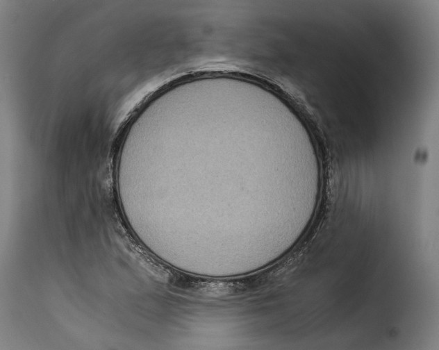 X0000115281167200911201745