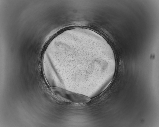 X0000115281168200911201745