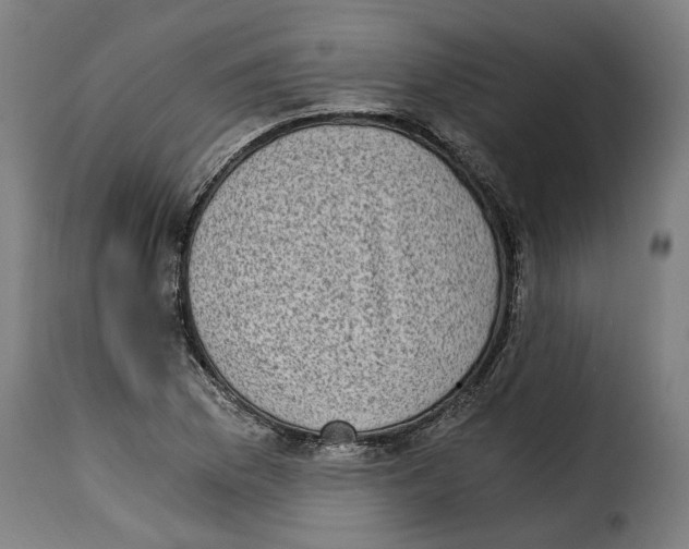 X0000115281169200911201745