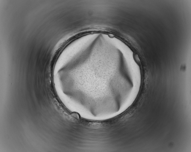 X0000115281172200911201745