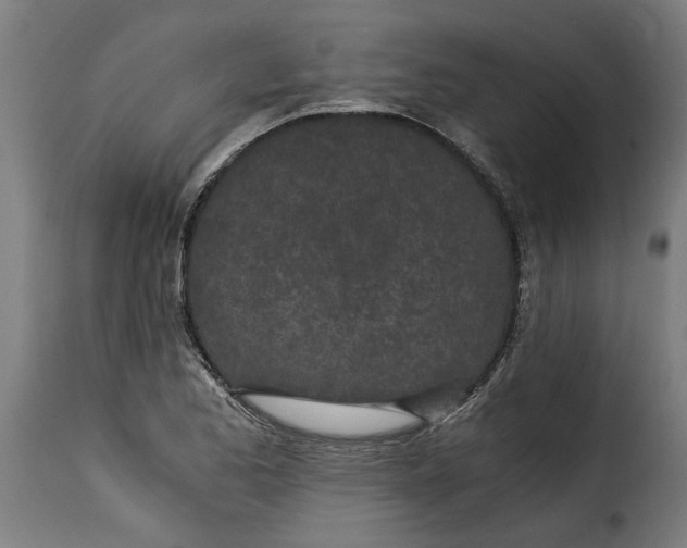 X0000115281173200911201745