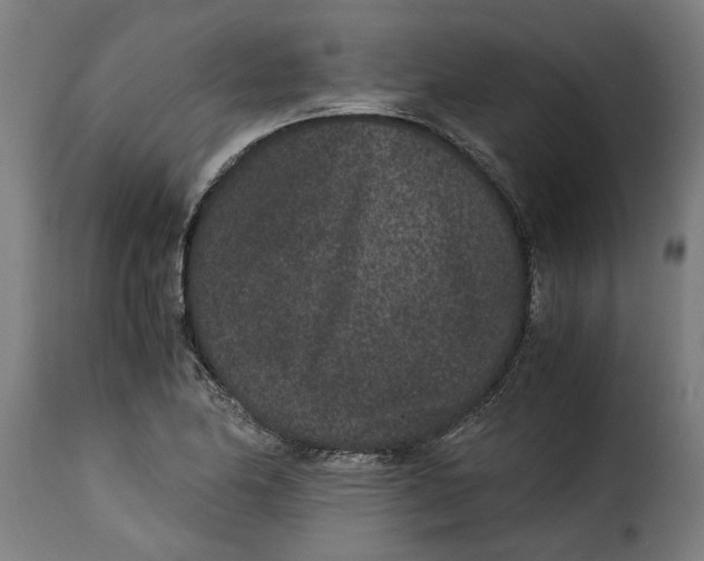 X0000115281174200911201745